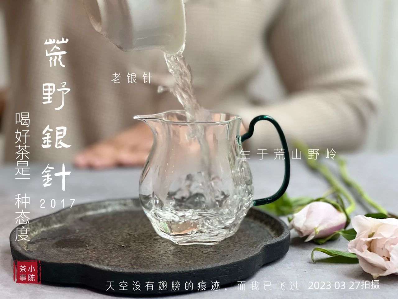 白毫银针口感怎么样,白茶知识白毫银针