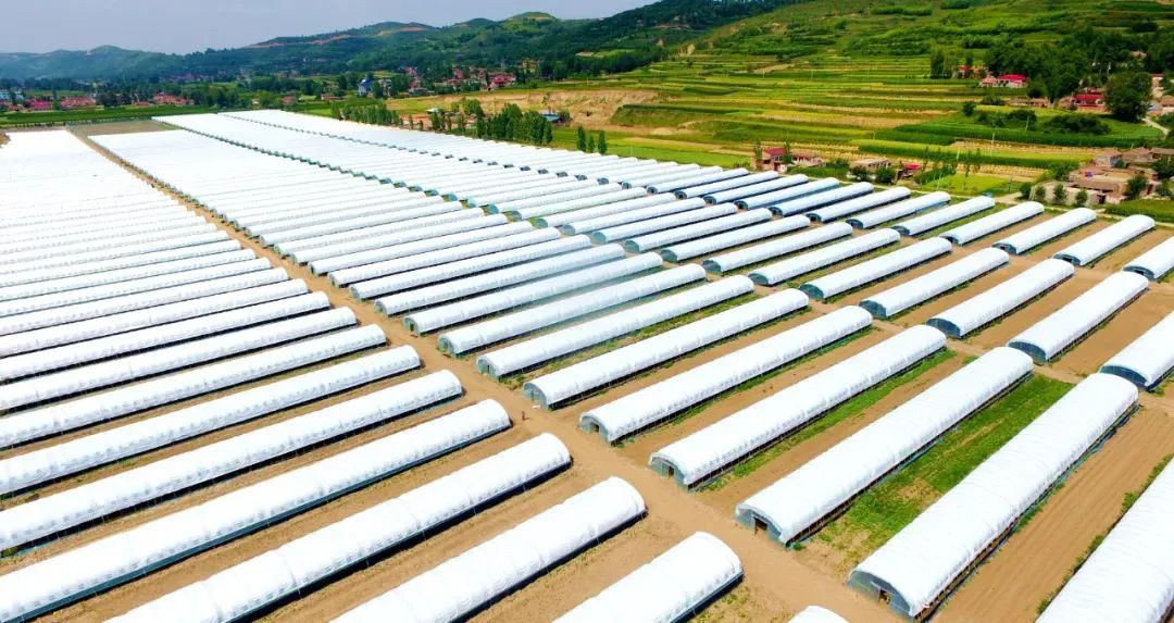 速收！兰州出发，临夏太子山旅游大通道及3-5日大环线自驾游攻略！