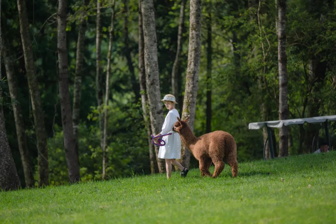有一种云南的生活叫腾冲,腾冲旅行云南新攻略来袭