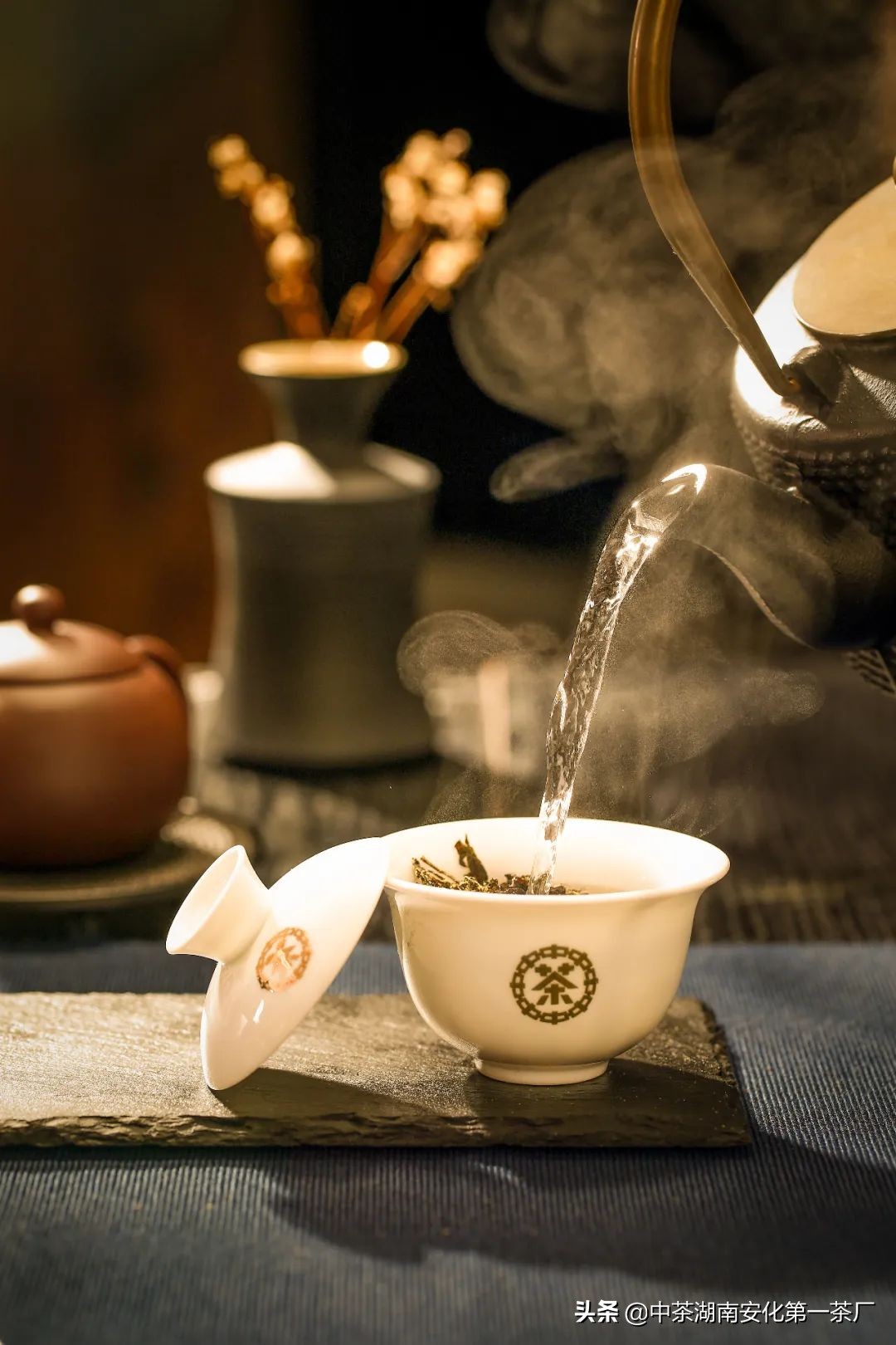 安化黑茶越老越好,为什么安化黑茶越陈越香