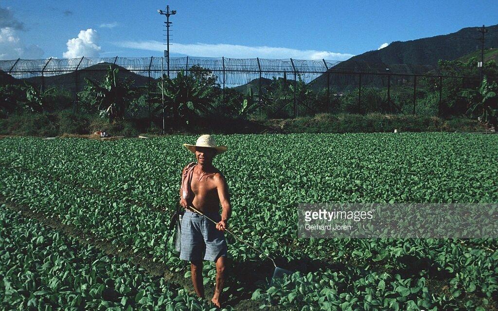 日军日记：*安妇慰**不服从管教，我很愤怒，用*刀刺**插入她的*体下**