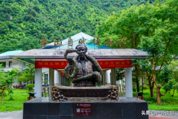 莽山五指峰景区东江湖,湖南莽山国家森林公园