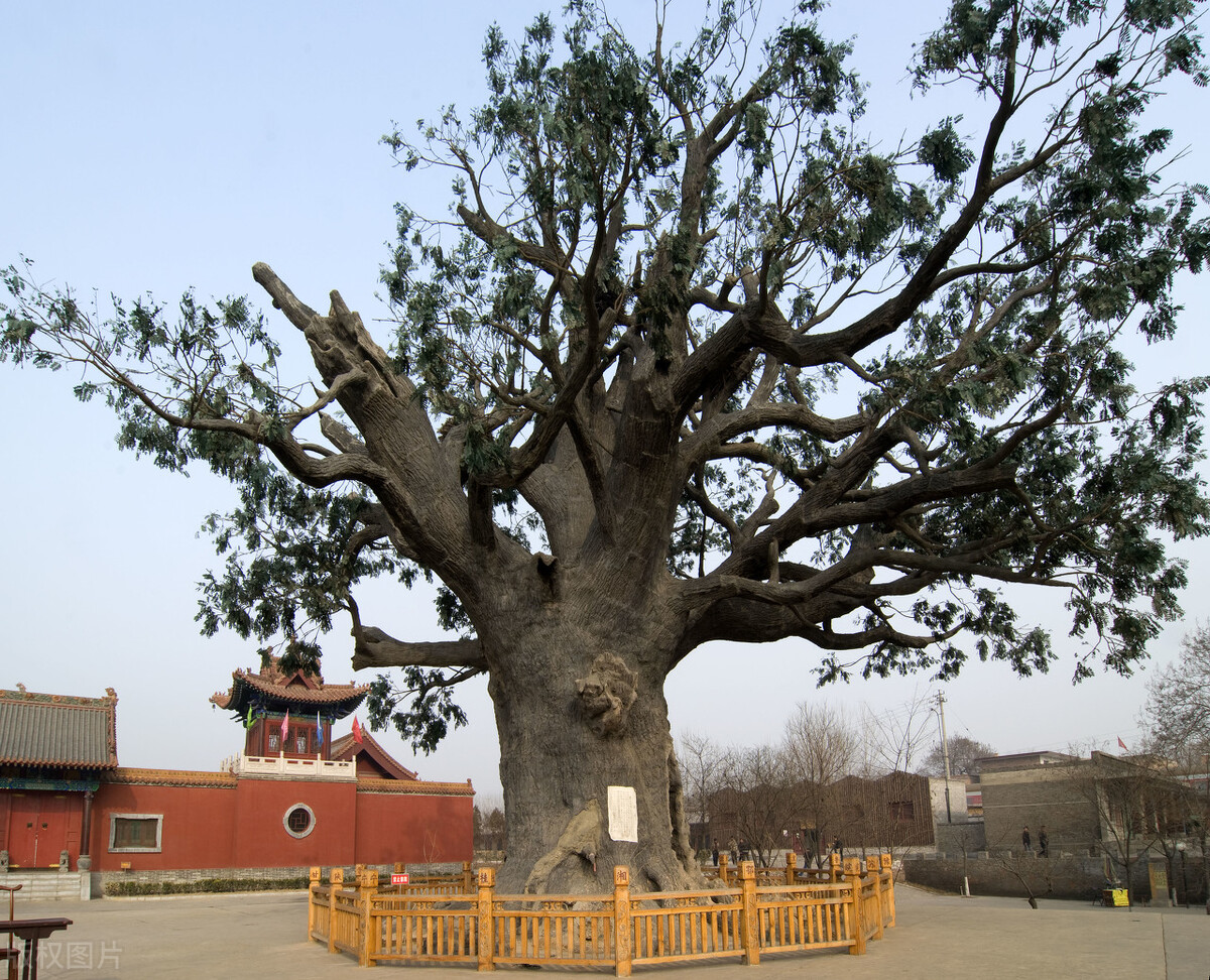 多数人都不知道的冷知识,一般人都不知道的十个新疆冷知识