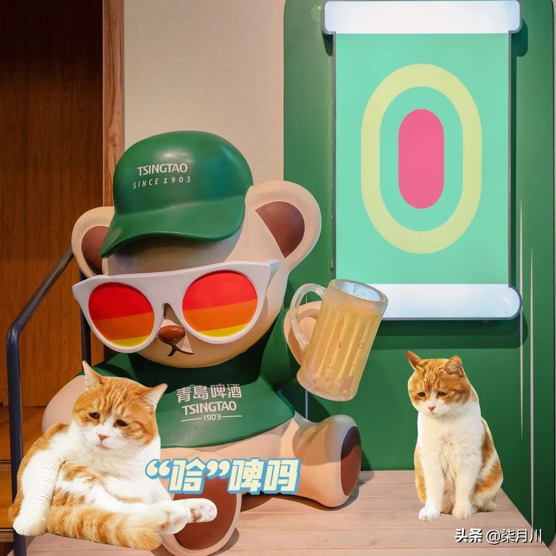 青岛旅行攻略比心,冬季旅游青岛攻略汇总