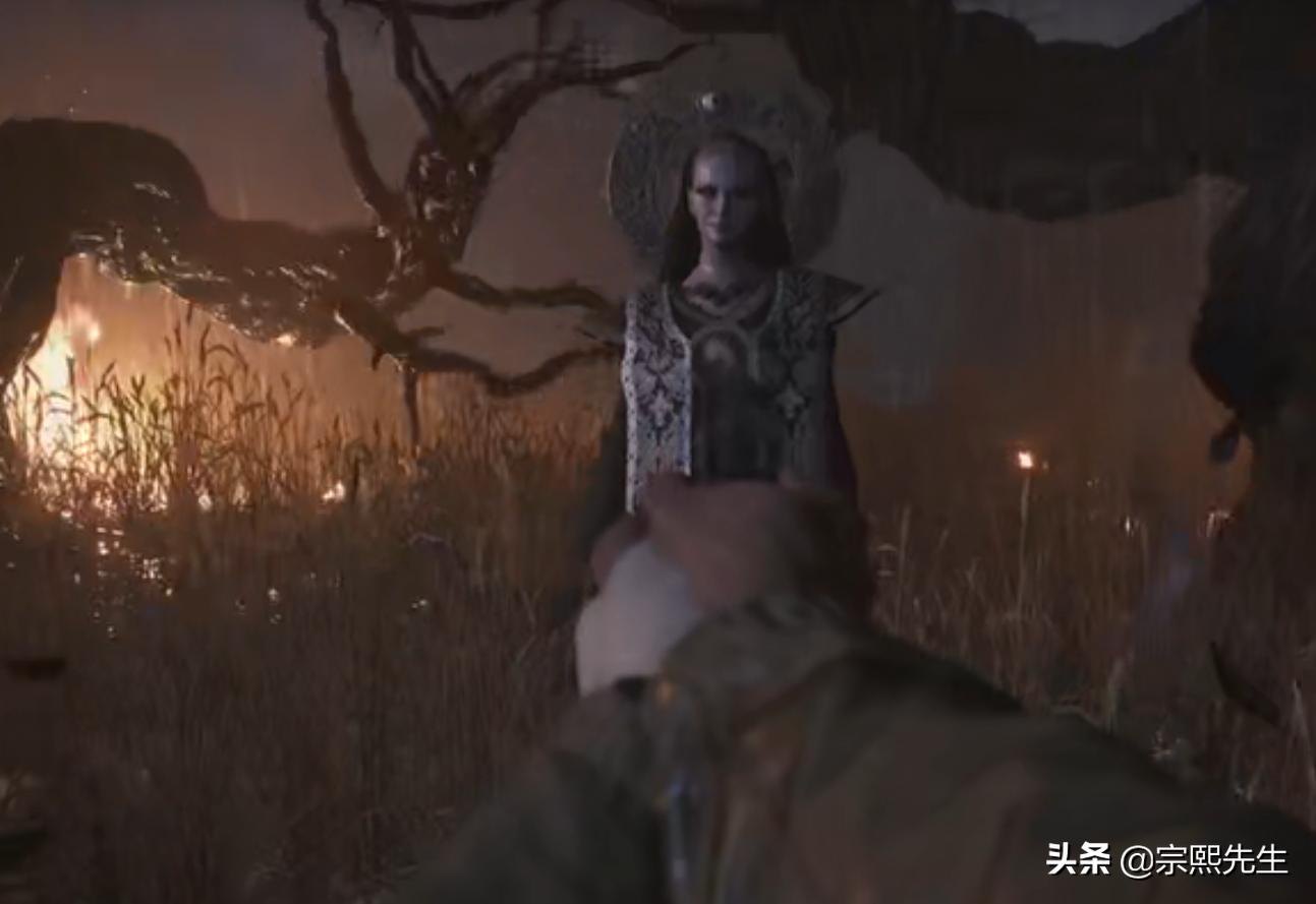 鲤鱼ace解说生化危机8村庄,生化危机8最高难度村庄诡影速通