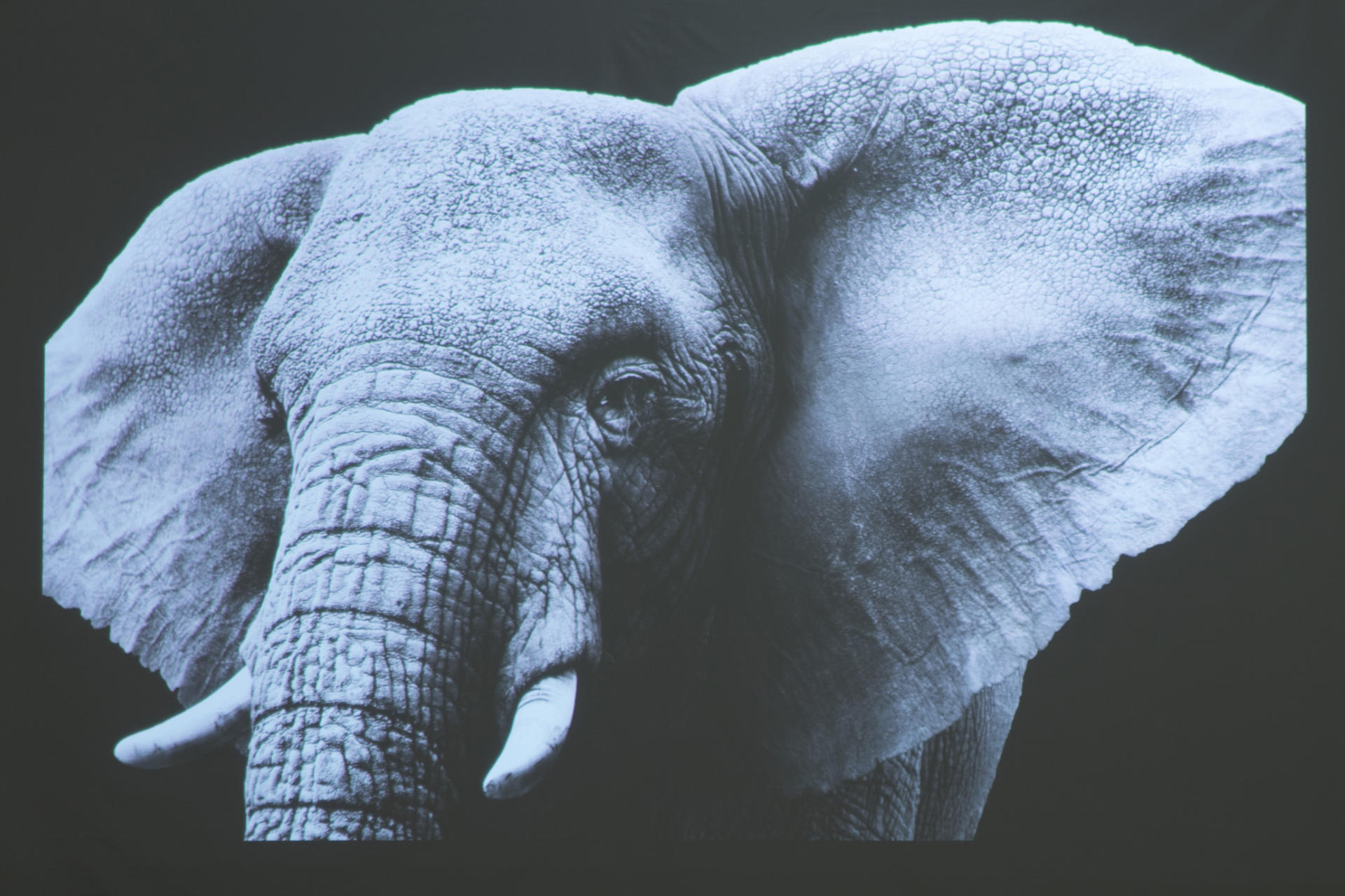 优派px710-4kpro和k701-4k,优派投影仪k701评测