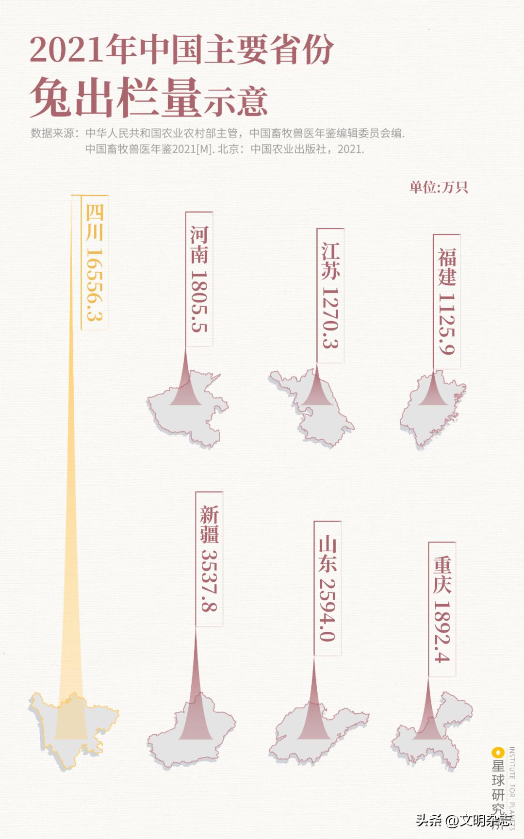 兔子来阳台,兔子来到新家