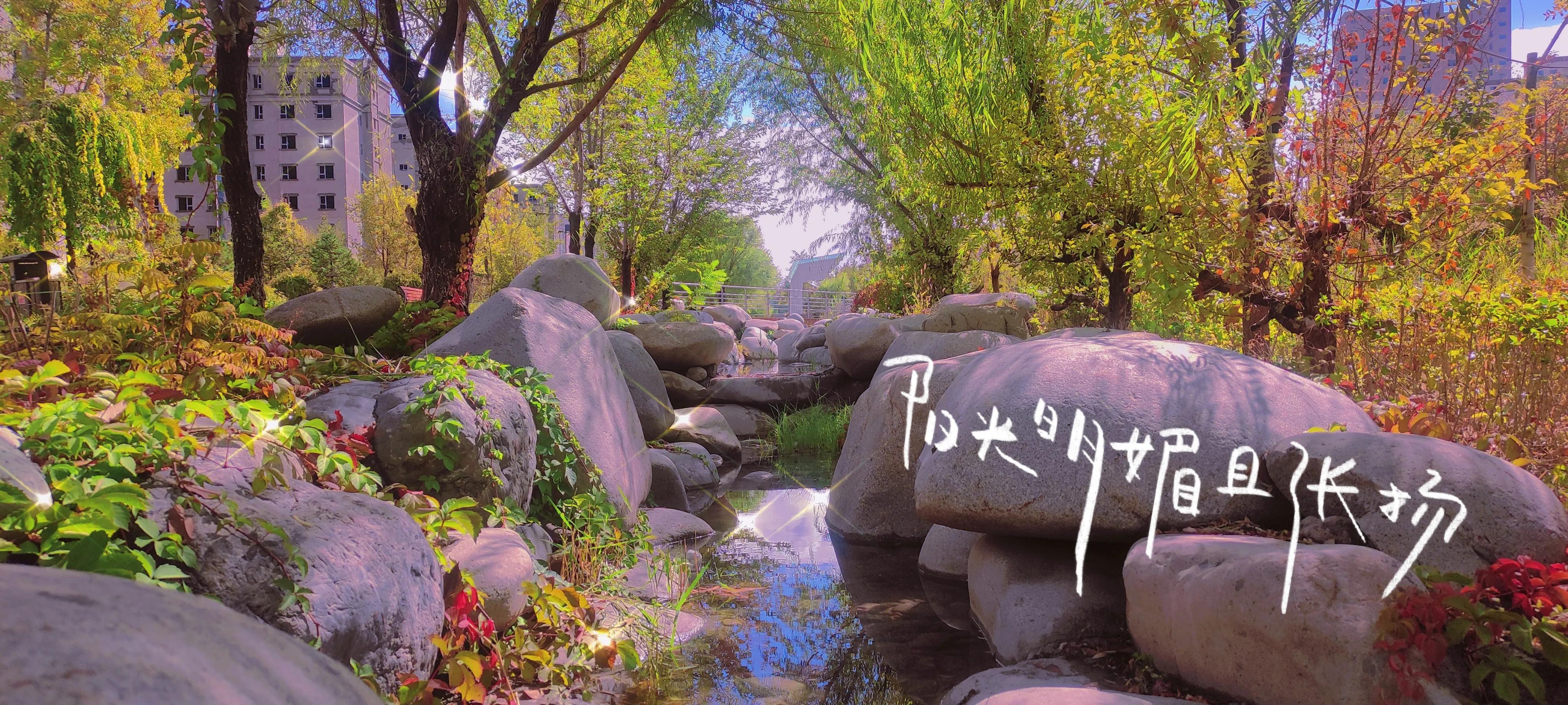 疫情之下小区秋色荡漾,疫情之下绣湖路