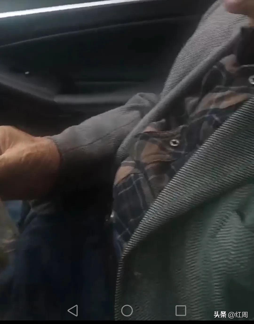 鹿茸最佳吃法,鹿茸500克价格表