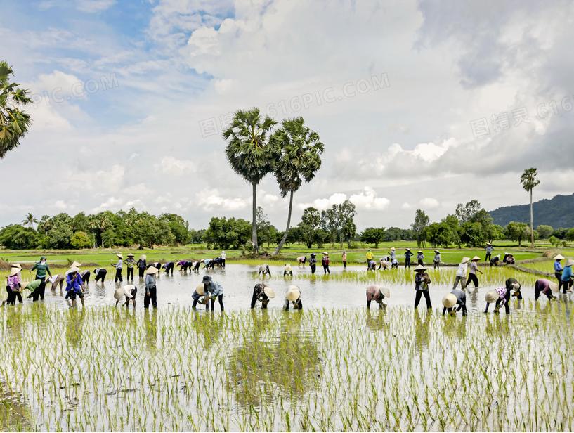 勤劳能致富吗视频,勤劳不能致富聪明才能致富