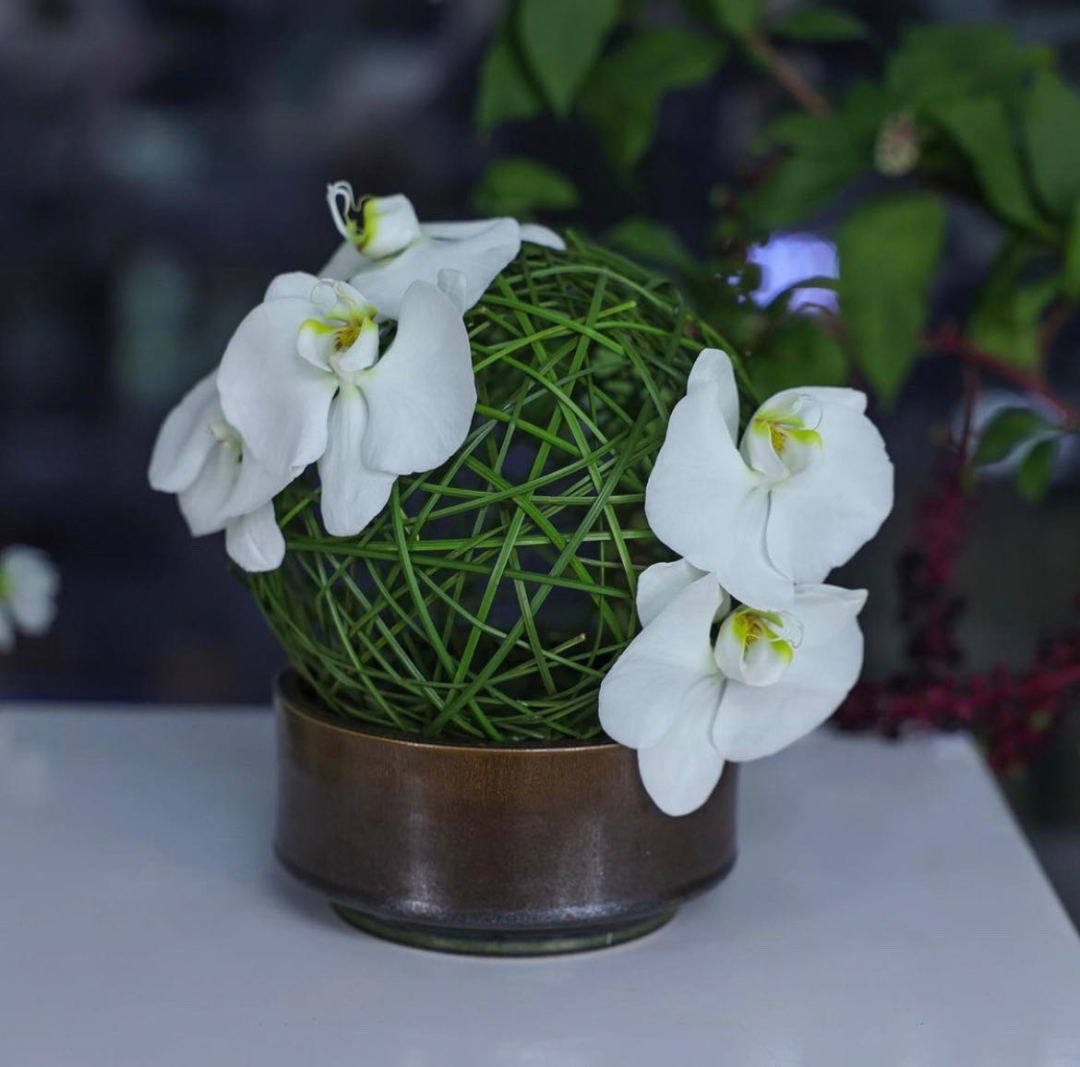 如何打造花园式花店,开一家花店怎么做花艺