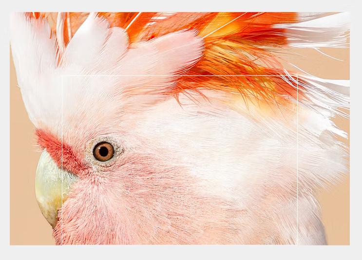 激光投影和nec投影仪哪款最好,necrgb激光投影机