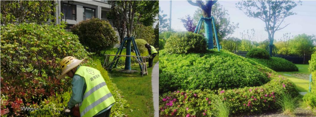 万科物业品质焕新,万科物业景观打造