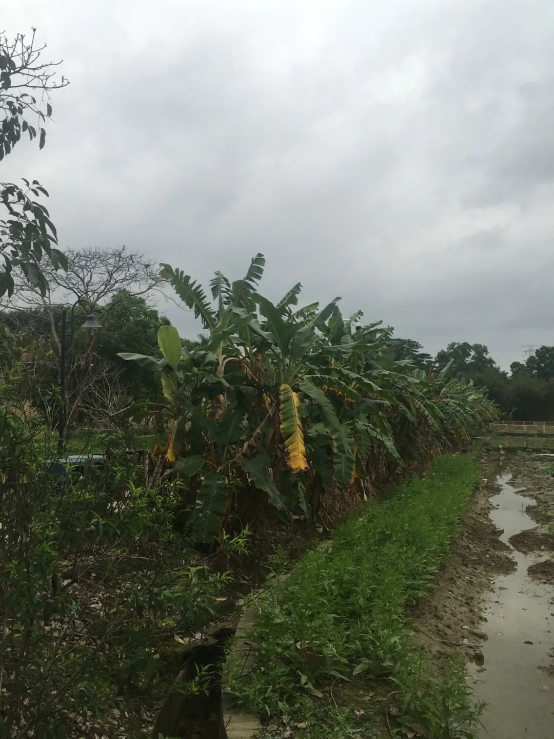 旭光电动车行,旭光车行向阳路