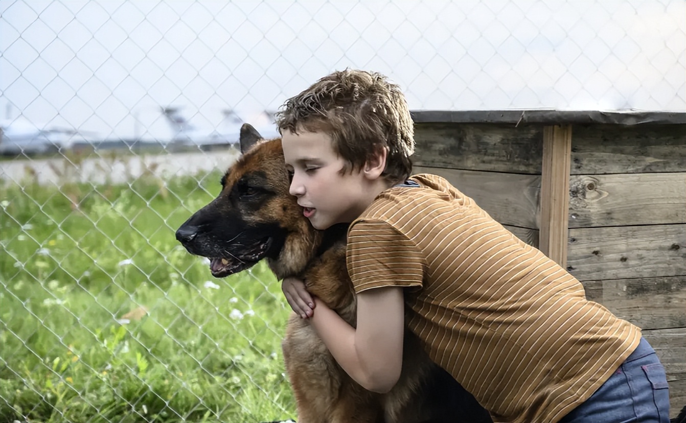 9.5分抖音顶流都来了，山寨小时代别来沾边
