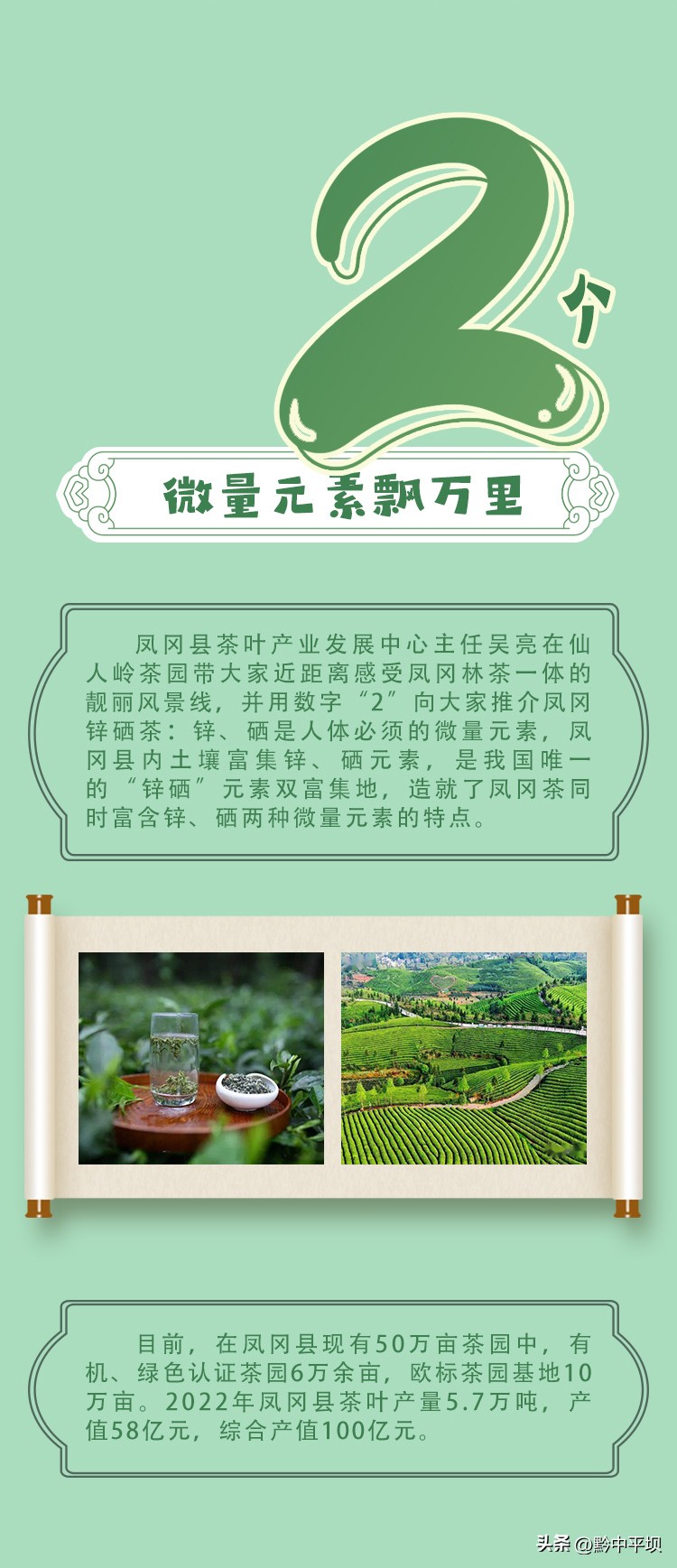 黔茶飘香贵州茶博会,黔茶飘香都匀毛尖茶