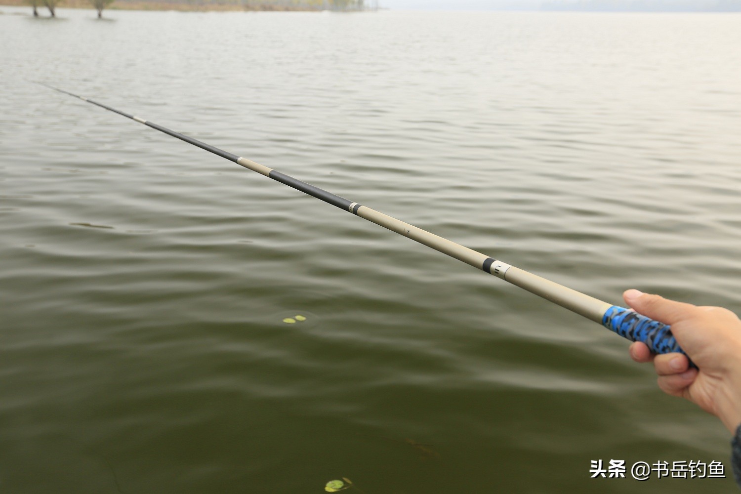 钓鱼网红手竿钓金枪，16号线秒切钓钩拉直！劝大家擦亮双眼别被骗