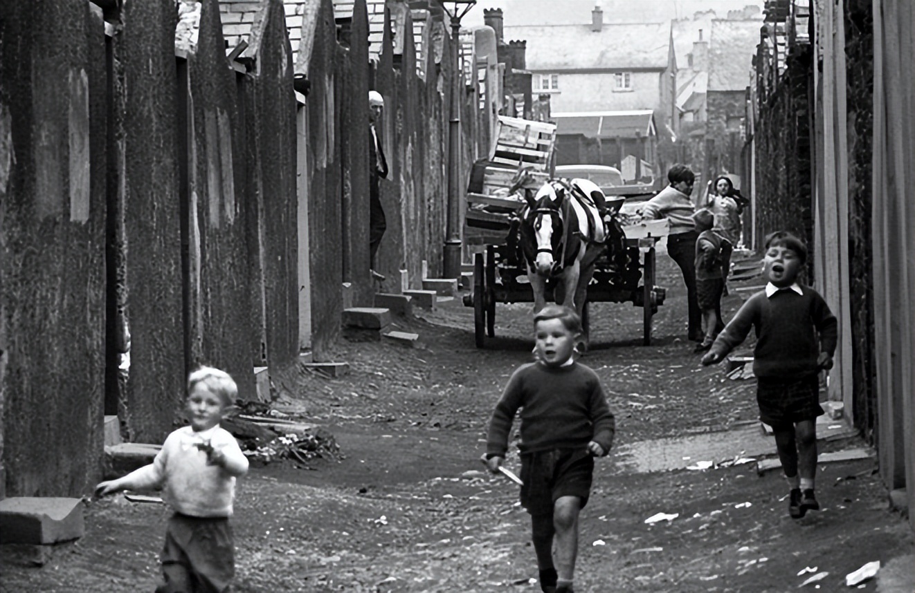 河南小伙报恩瑞士房东素材,中国小伙为英国房东养老