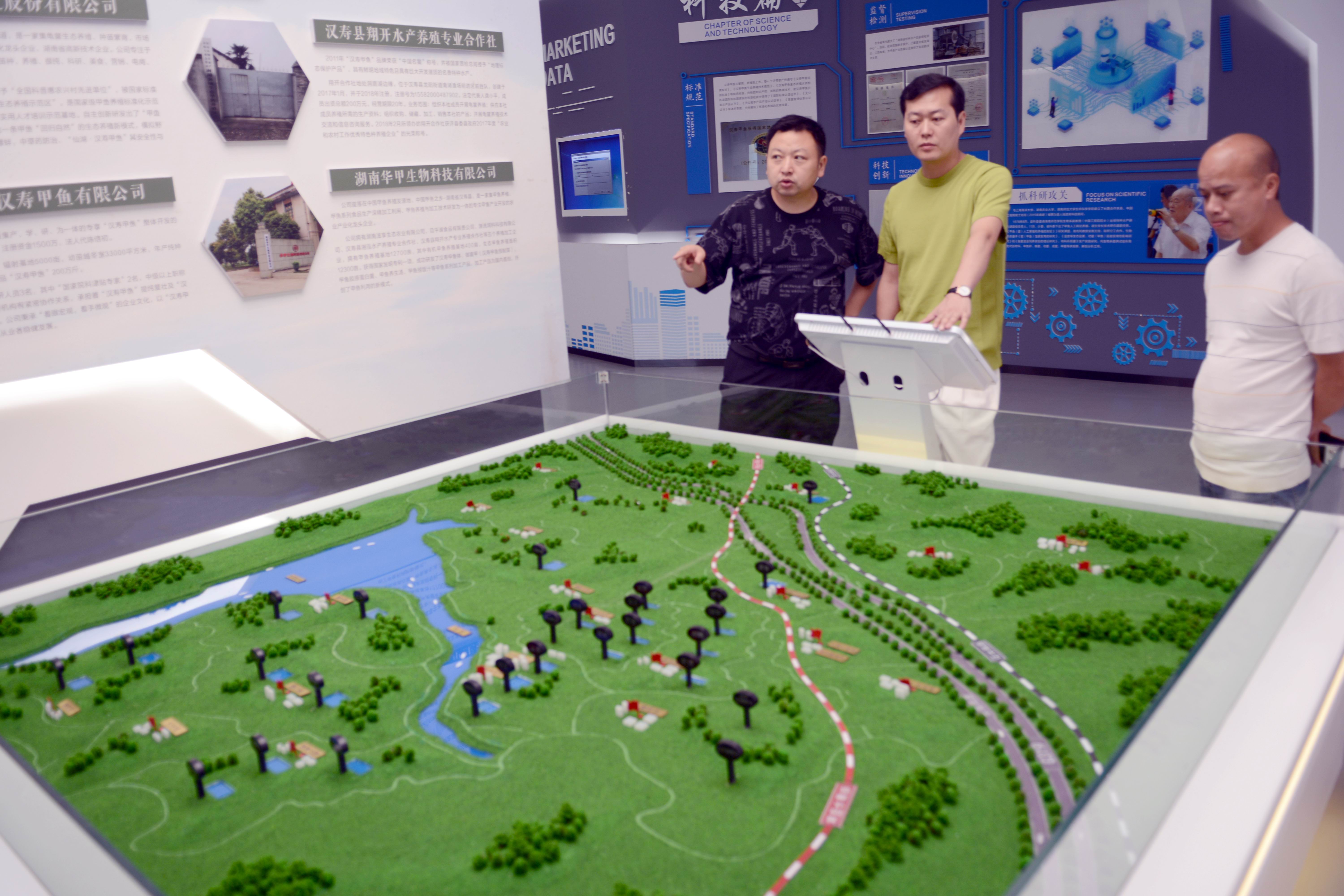 最顶级的湖南汉寿野生甲鱼,汉寿正宗外塘甲鱼