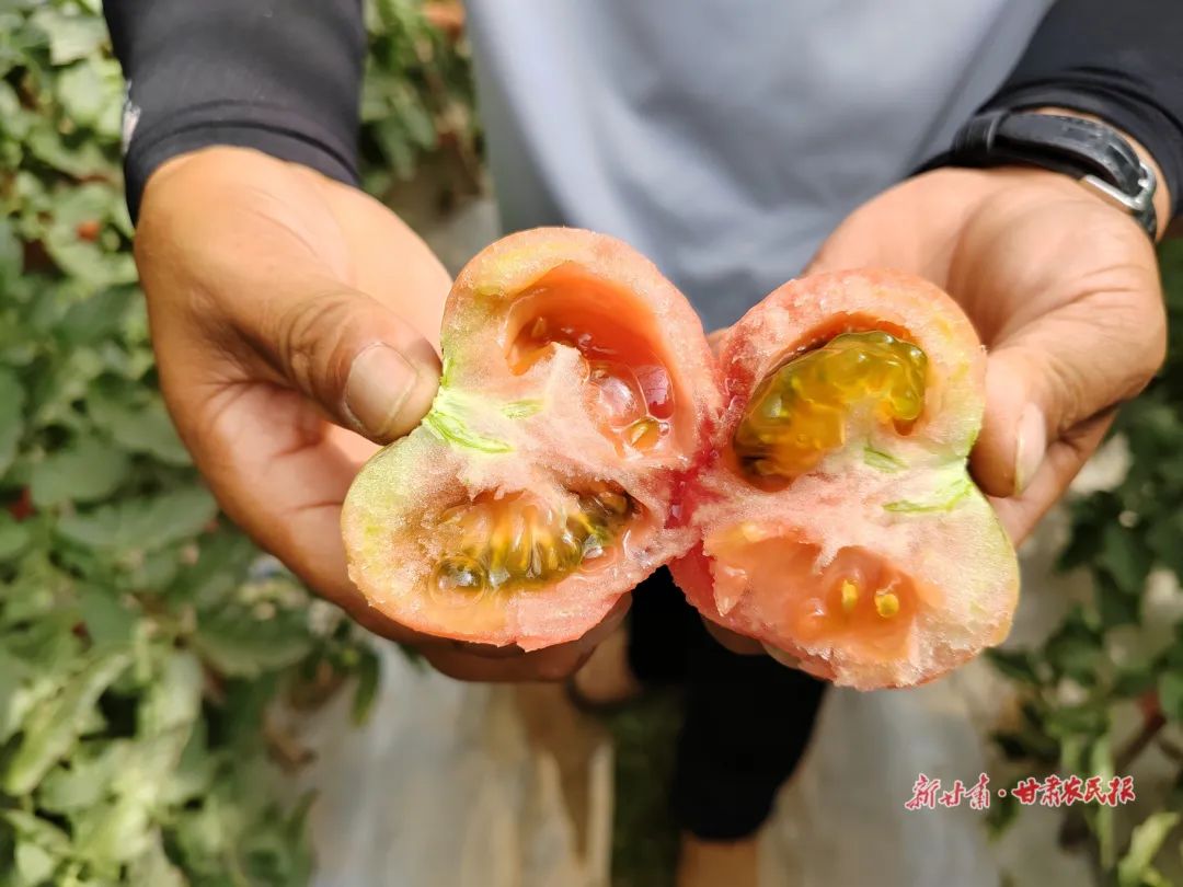 撂荒地治理措施及成效,撂荒地整治有哪些难题