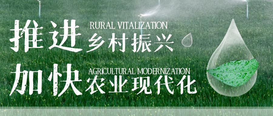 中叶壹乡壹品助力拓宽销售渠道,乡村振兴壹乡壹品