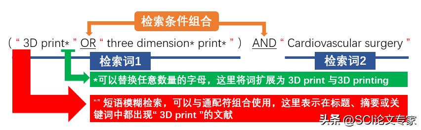 如何使用scopus检索,在scopus中查看引用文献