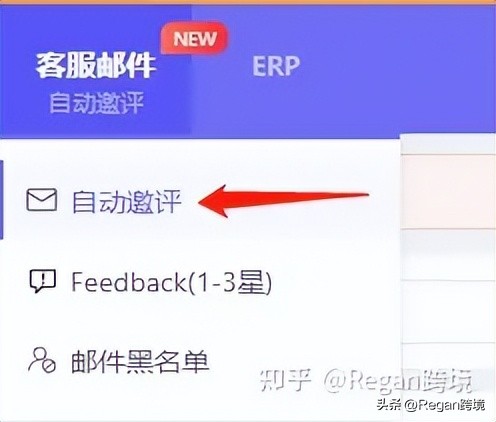 怎样删除亚马逊review,亚马逊review下载工具