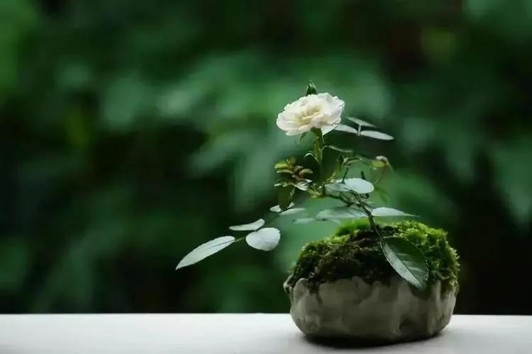 尊重比爱重要,尊重是爱的基础和理解