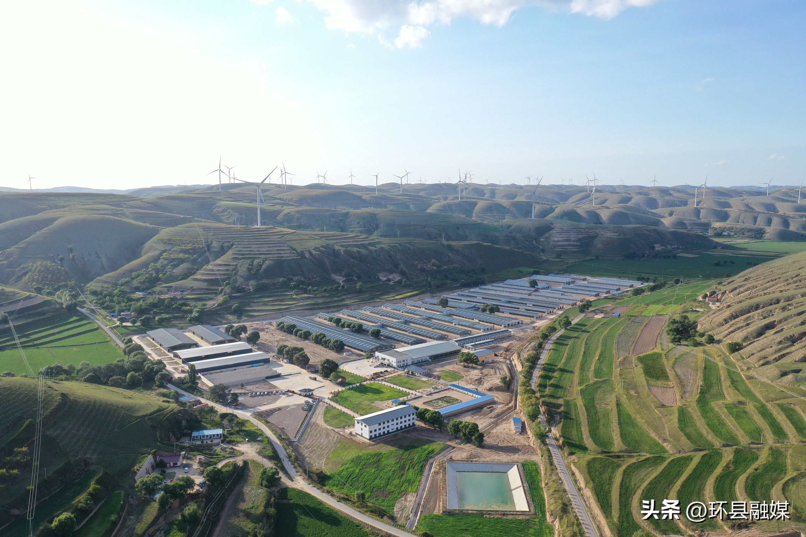 带动群众致富奔小康,容县强化党建引领助推产业发展