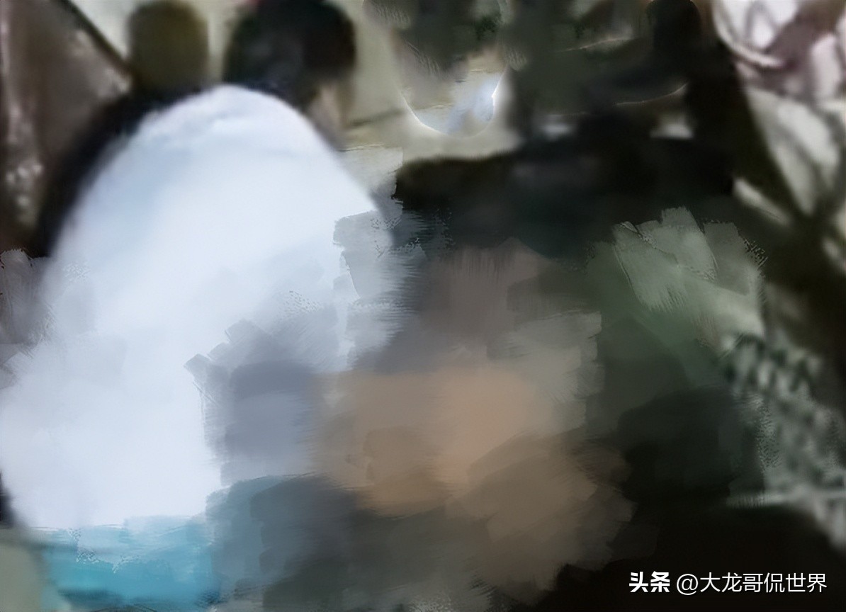 印度发生恶性案件，男子在家里将狗强奸，被人拍下视频传上网