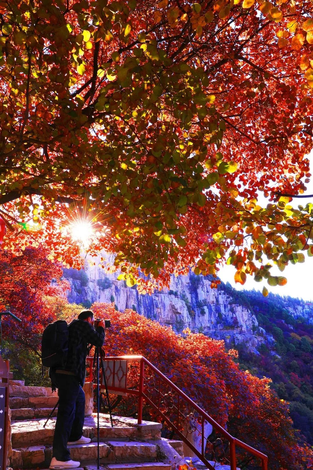 临朐小城,潍坊的临朐县