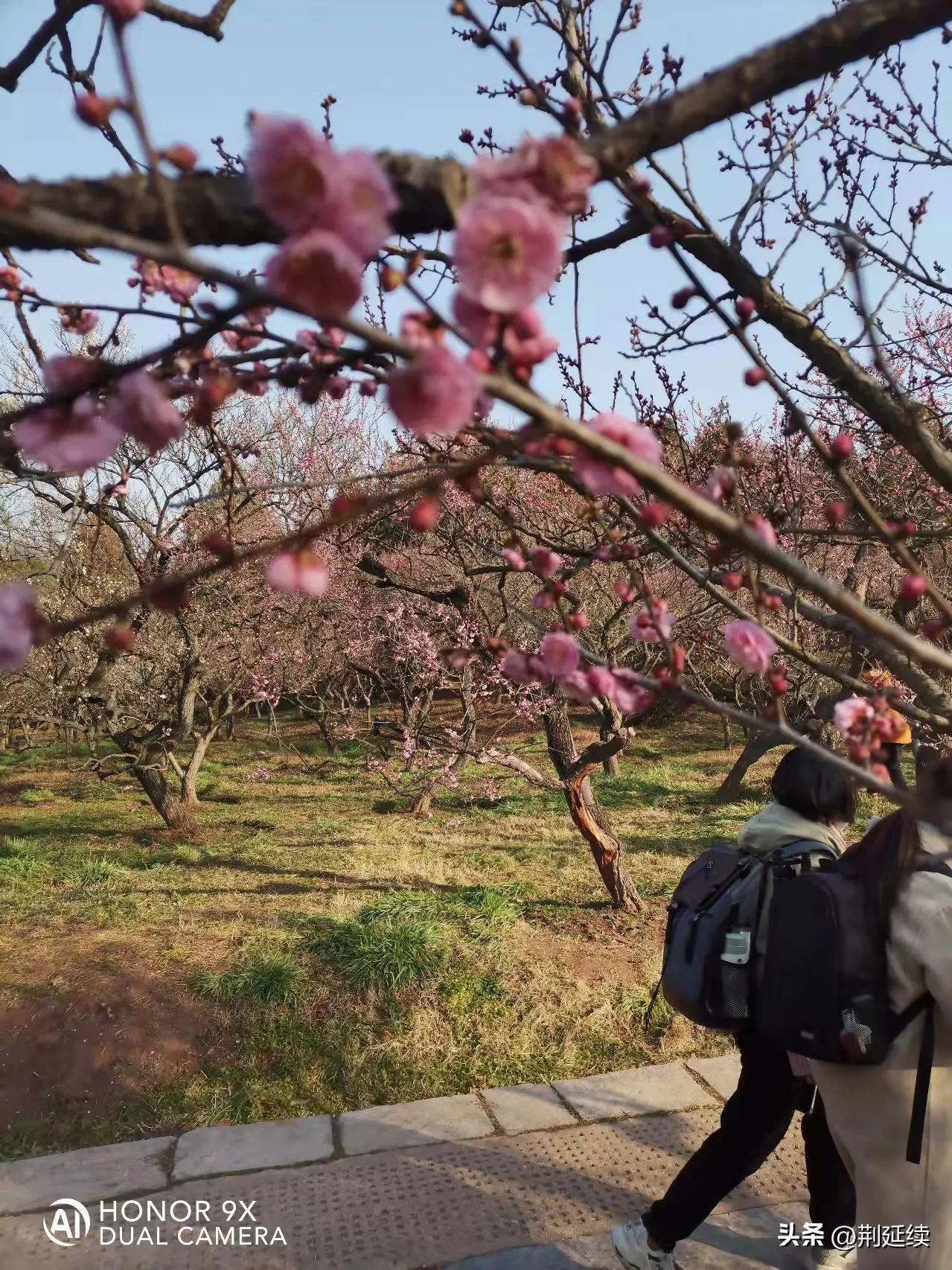 漫游黄山,漫游梅兰芳纪念馆