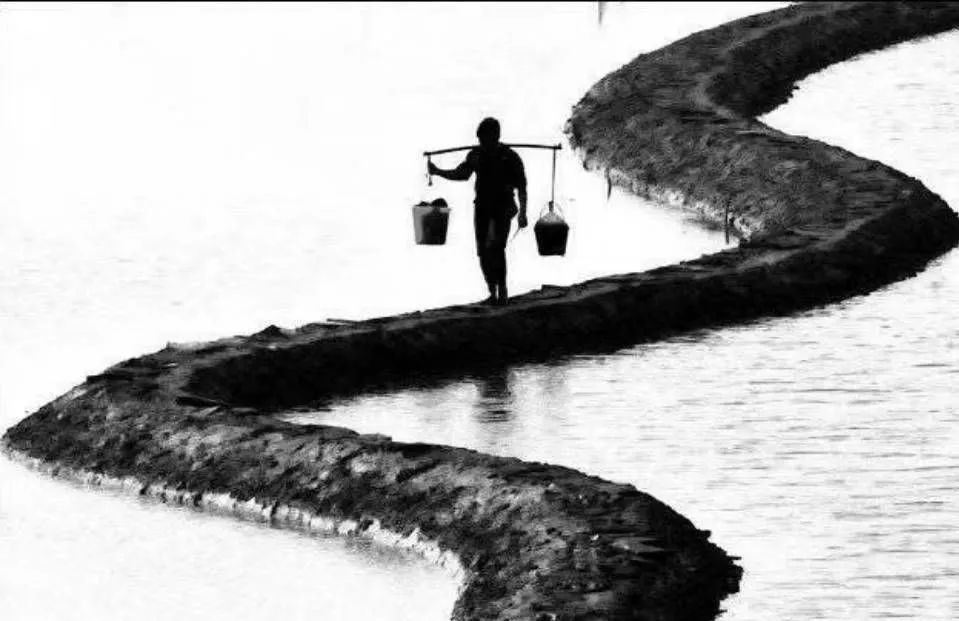 李扬华|足球“遗”梦