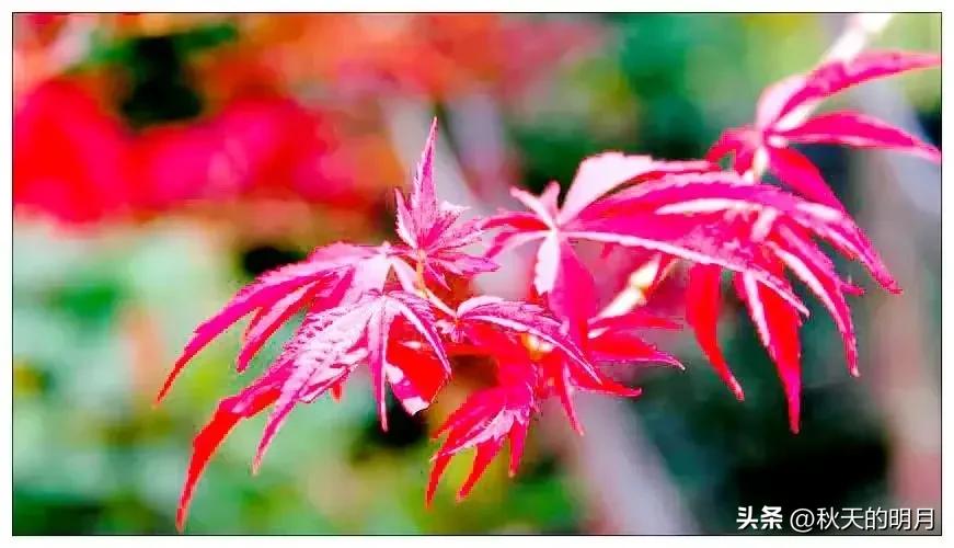 年过五十的七条人生忠告,闷声发大财的人都有四个共性