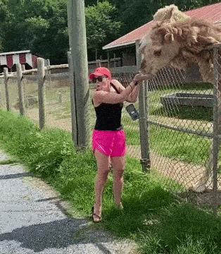 林志玲为什么越来越像日本贵妇,林志玲越来越像日本贵妇