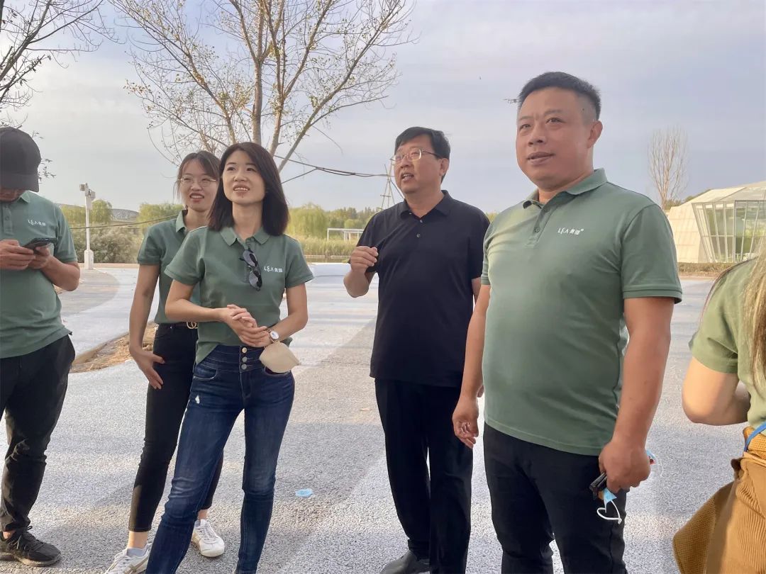 衡水园博园改造,衡水湖改造工程