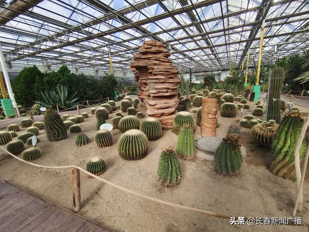 看过人世间你就会明白,看过人世间就懂得人情世故