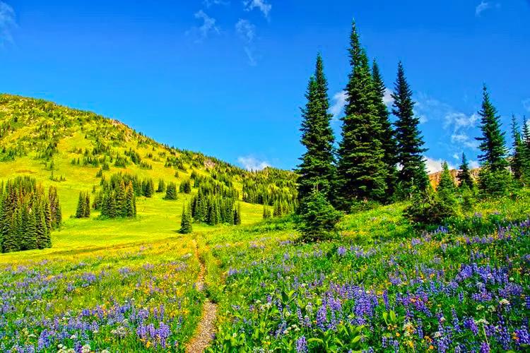 人生难得静心,人生难得清净心