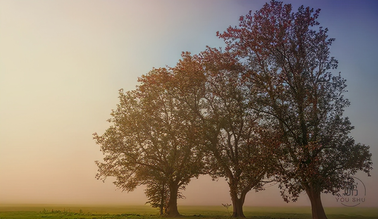 吴承恩曹雪芹四大名著,曹雪芹和吴承恩
