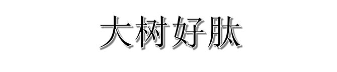 澶ф爲濂借偨浠撳偍瀵勫敭,澶ф爲濂借偨鑲戒紭閫変粨鍌ㄥ瘎鍞共鍟ョ殑