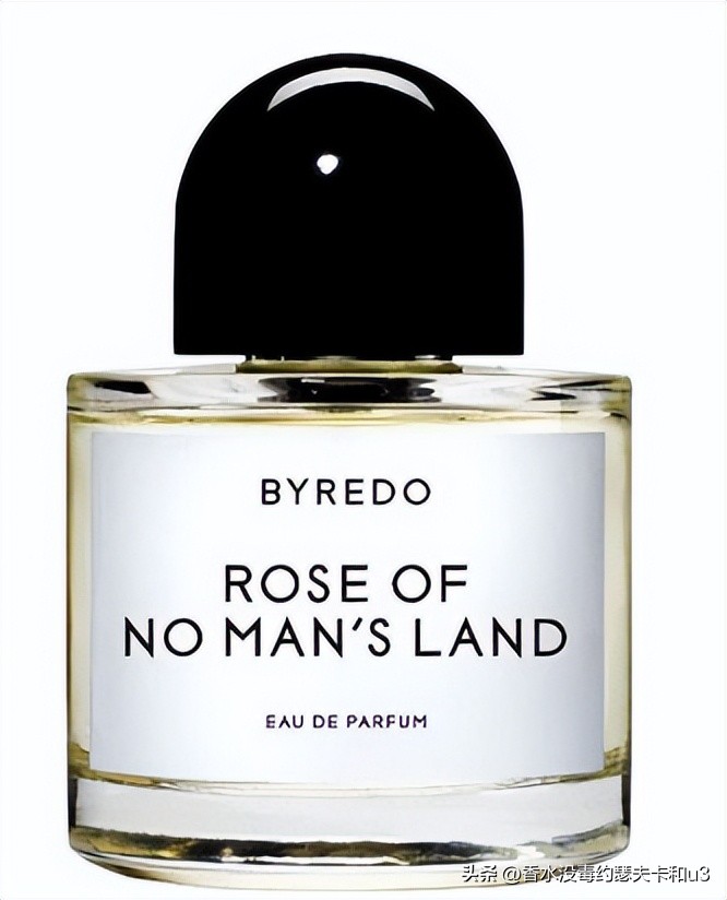 三大网红香水,十大网红香水值得入手吗