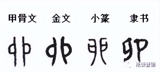 详解十二生肖中五行,详解十二地支所代表的含义