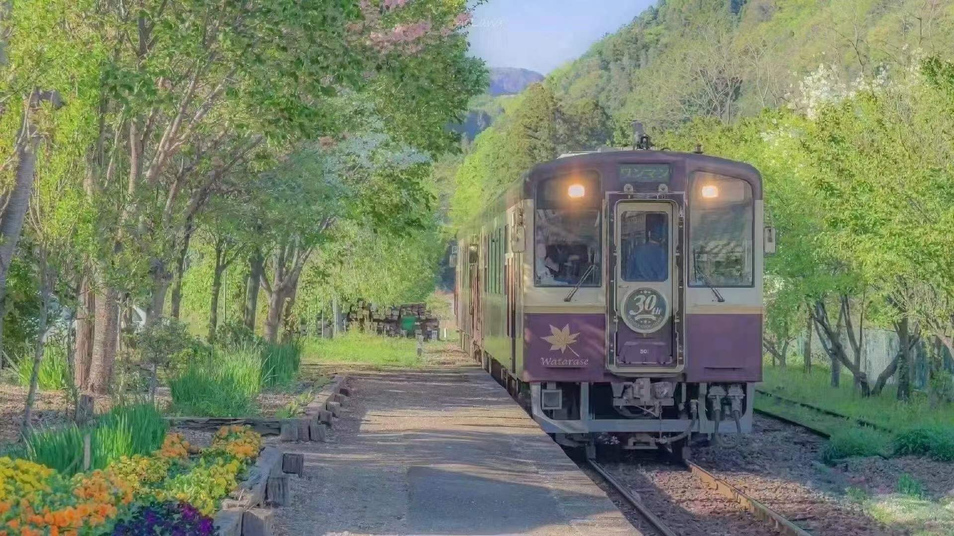 中国驾照原来这么牛,中国驾照有多厉害