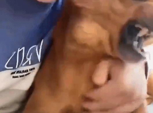 六百万网红想洗白反被封，他哭了狗笑了？网友：他活该