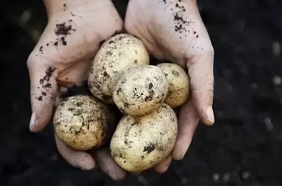 热火更衣室气氛紧张,热火压力山大