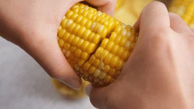 减肥吃什么食物不会被吸收,减肥吃什么不会反弹呢