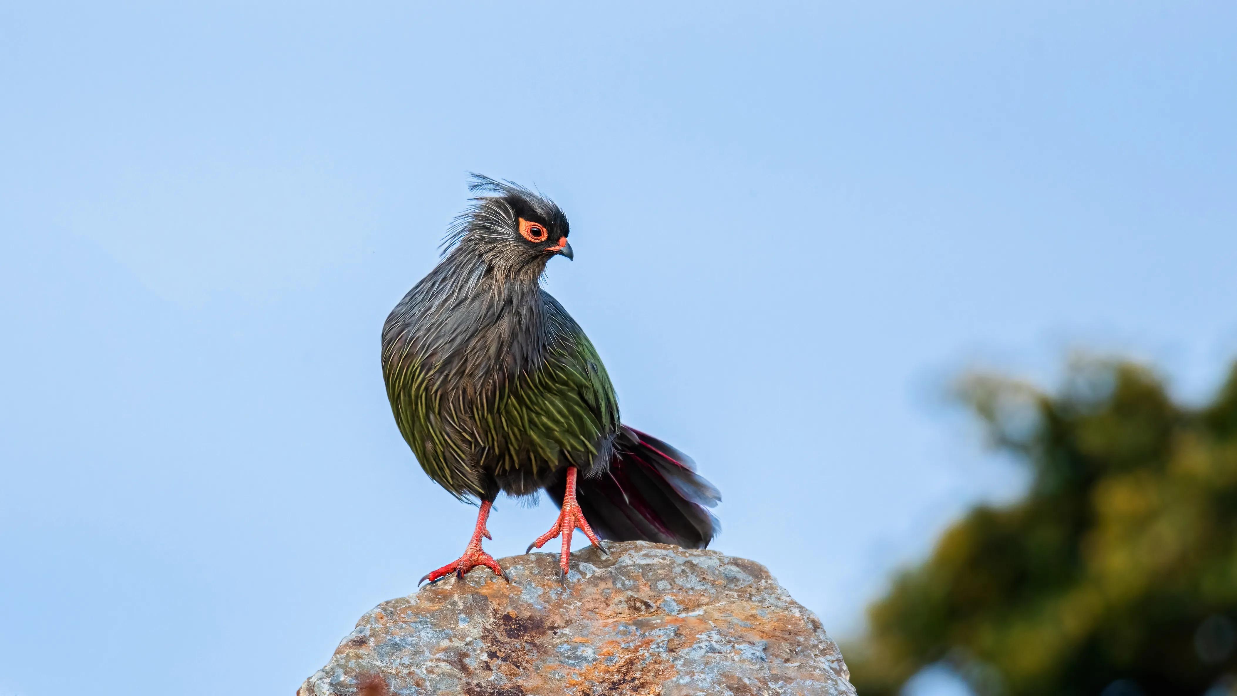甘孜州最美风景在路上,金秋的甘孜州