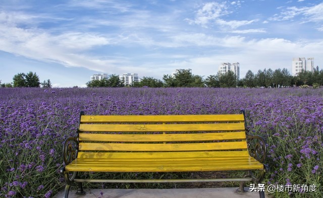 金昌市文明城市专题片,金昌是不是文明城市