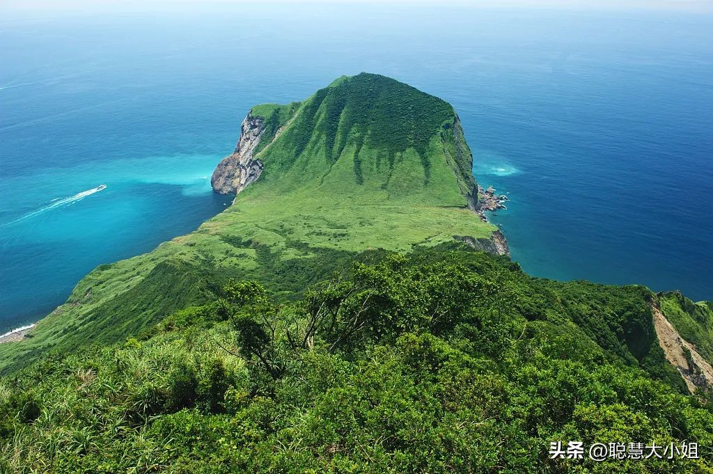 台湾电影和艋舺差不多的,宜兰鲸豚