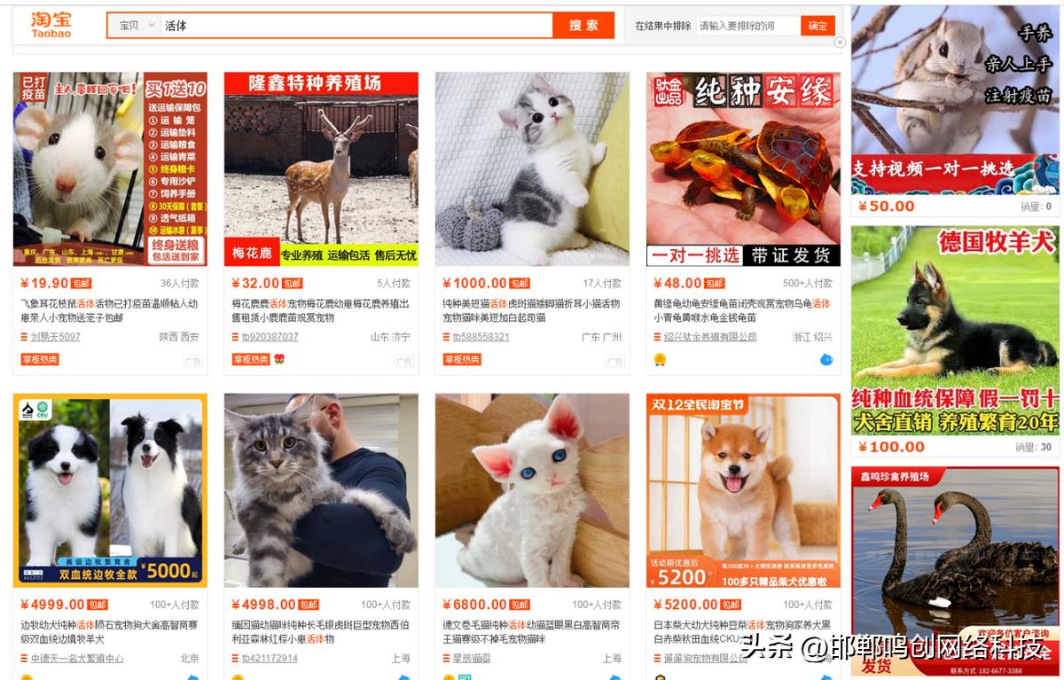 没有买卖就没有伤害的动物,没有买卖就没有伤害皮草公益广告